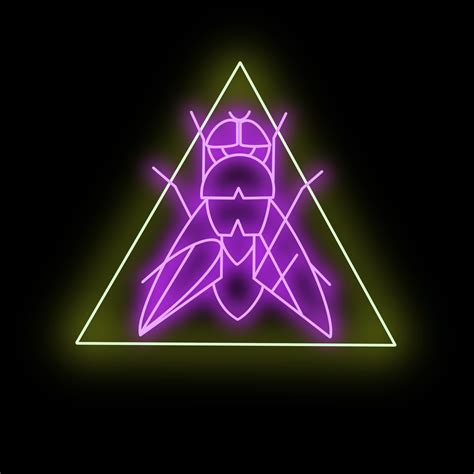 Ashley Adams - 'DarkFly' Album Art