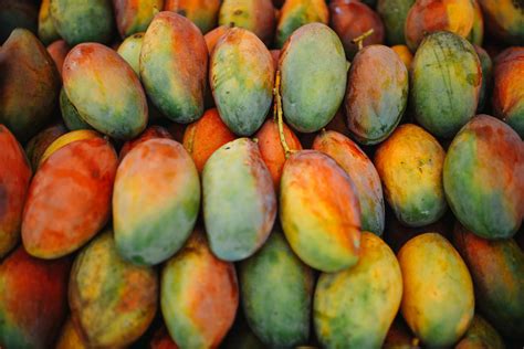 makanan khas kalimantan timur  ikonik traveloka