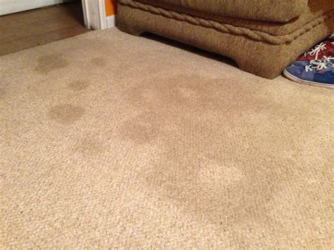 Year Old Carpet Stains GONE : 7 Steps (with Pictures) - Instructables