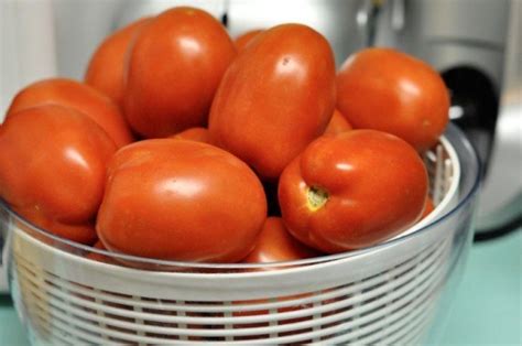 Самые вкусные помидоры | Дневники - на Diets.ru