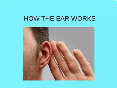 ear works