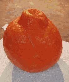 Orange Peel GIF - OrangePeel Orange Peel - Discover & Share GIFs