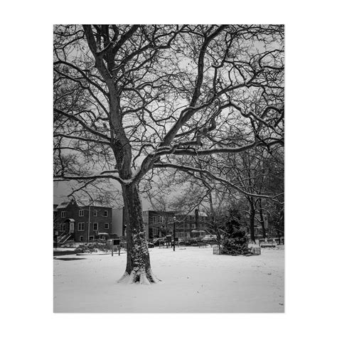 Snowy Astoria Park B&W - Queens New York Photography Black and White