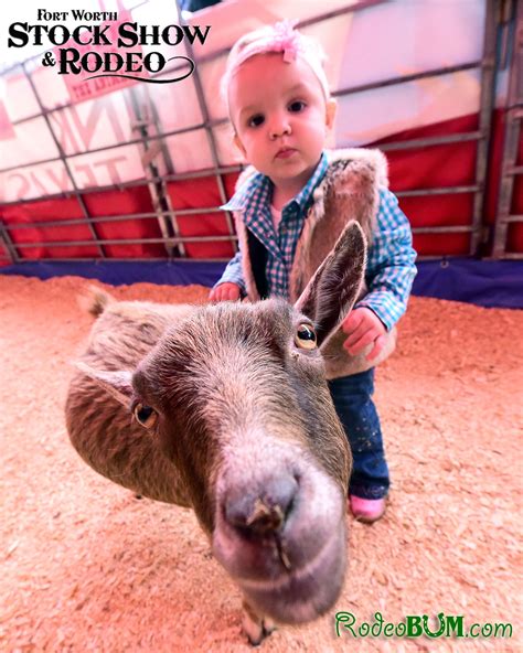 The exotic new animal at the petting zoo tacoma will shock you 3
