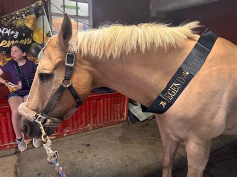 Silver Top Stables, LLC