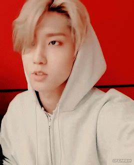 tomfoolery | Stray, Kids, Baby squirrel