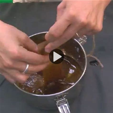 How to Kill House Flies | Pest control, Mother earth living, Diy ...