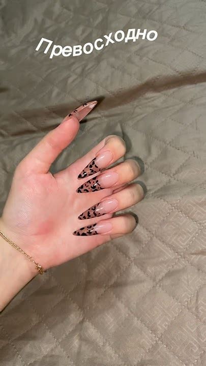 Сделала леопардовый френч😮‍💨🤎 #nails #гелевыетипсы #nailtech #ногти # ...