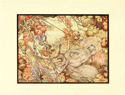 illustrations  aesops fables   ages illustration