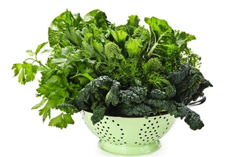 5 Essential Nutrients That Accelerate Weight Loss