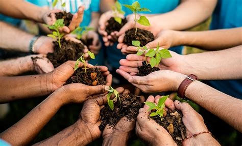 Qual A Importância Da Preservação Ambiental