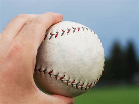 safe  safety explained importance  safe