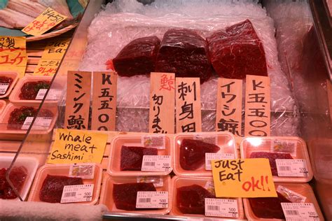 Japanese police investigate mercury in dolphin meat