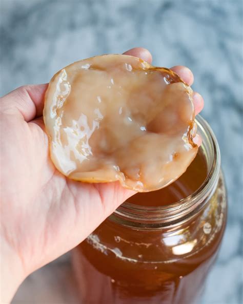how to make scoby for kombucha 1