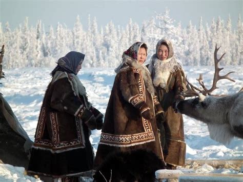 nomadic nenets women   encampment   tundra nadym region
