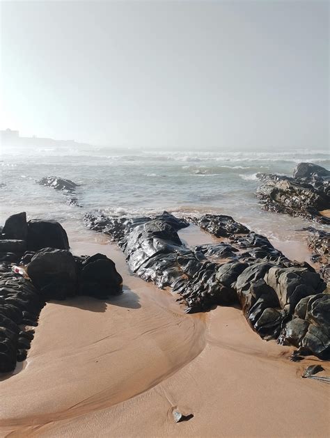 Nice+Tits+On+The+Beach Photos, Download The BEST Free Nice+Tits+On+The