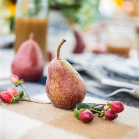 Centerpiece Ideas with Pictures for Seasons and Holidays | Topics | HGTV