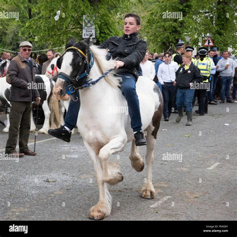 appleby horse fair appleby  westmorland cumbria stock photo alamy