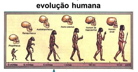 Desde Os Primórdios - Professor Richard Silveira: Os primórdios da evolução humana [slides]