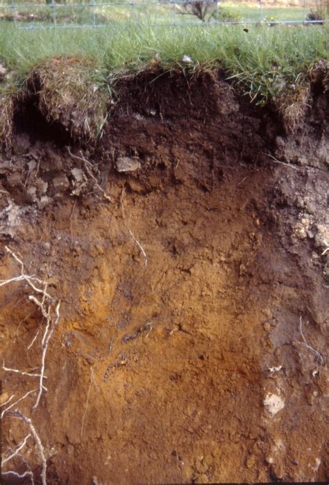 soil sciences relationships researchgate