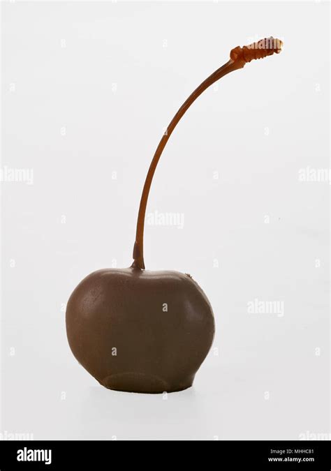 chocolate covered cherry  stem  res stock photography  images