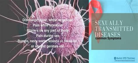 Rapid STD Testing: What Are The Common Signs of STD in A Man?