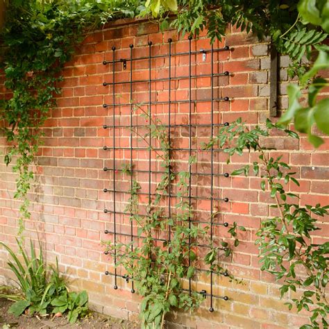 metal trellis ireland  jose nicoll blog