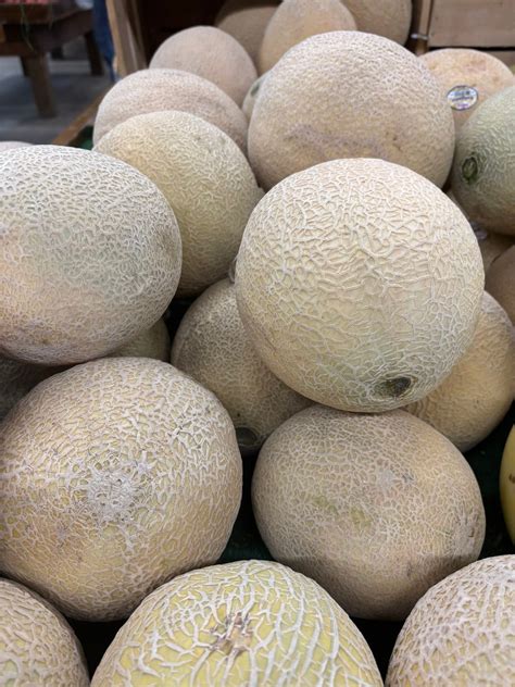 Joining Green Farms Alliance Ohio offers a surprising benefit 25