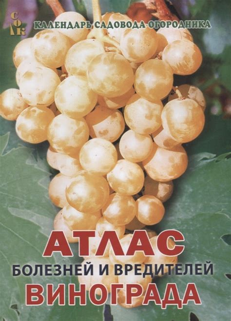 Атлас болезней и вредителей винограда