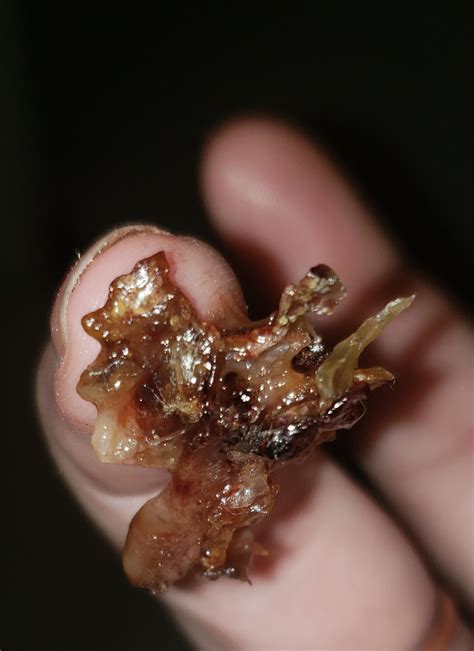 HOOOLLLYYY STICKYY ICKYY : r/boogers