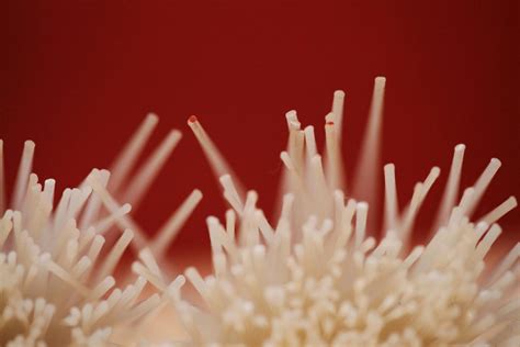 closeup  fiber wire  stock photo