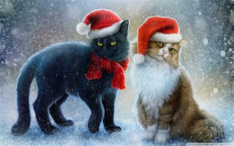 Black Cat Christmas Wallpaper (55+ images)