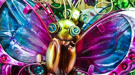 magic butterfly  stock photo public domain pictures