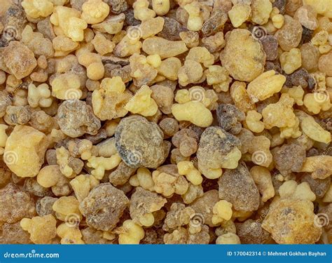 frankincense resins close  shot mixed quality frankincense resins