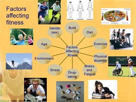 Factors That Affect Health Related Fitness - FitnessRetro