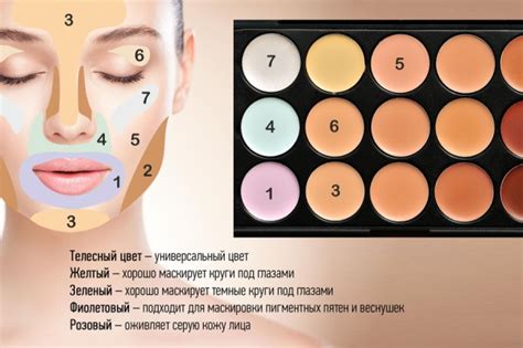 Вся косметика для макияжа. Список, название и для чего, фото