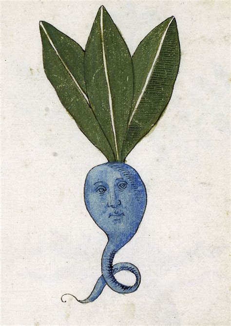 discarding images: Photo