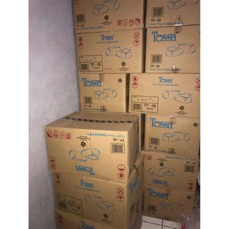 Jual Tessa Facial Terra Orange Tissue [200 Sheets/ 2 Ply] 1 Karton / 1 ...