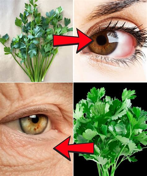 Unbelievable! Restore Your Vision Naturally with This Parsley Drink
