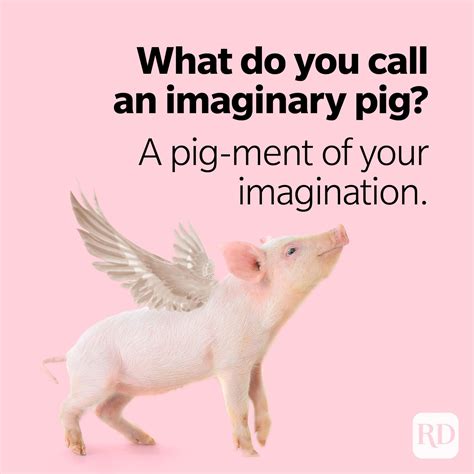 31 Pig Puns That Will Make You Snort with Laughter | Reader's Digest