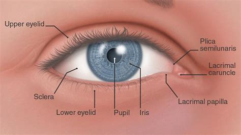 cornea external eye disease south bay ophthalmology