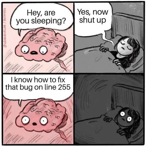 The programmer's brain and sleep can't go together. in 2020 | Best ...