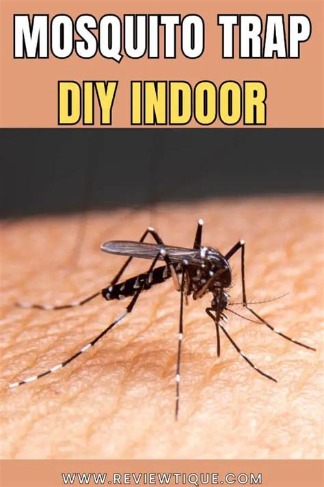 Mosquito Trap DIY, For Indoor & Outdoor Use