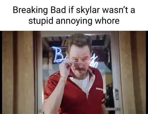 breaking bad  skylar wasnt  stupid annoying whore ifunny