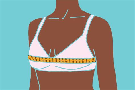 measure  bra size bra size charts band  cup measurement