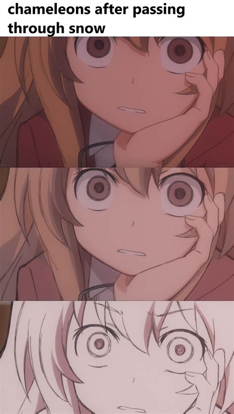 toradora meme a day (#543) : r/toradora