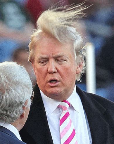 Progressive Charlestown: The secret of Donald Trump’s hair