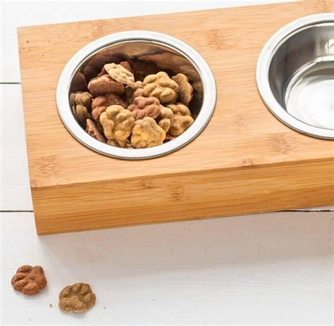 Sustainable pet products are coming to pets at home united kingdom