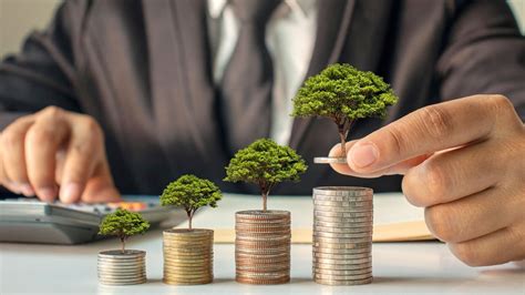 essential rules  personal finance    follow mint