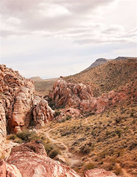 Rawler Las Vegas: The Hidden Gem You Have To See Image 6